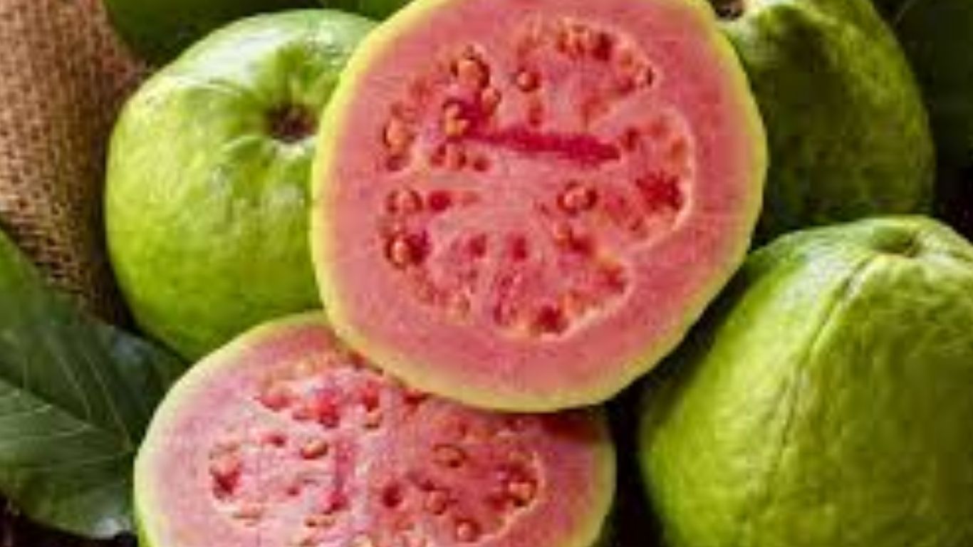 Health Benefits of Guava: జామ పండ్లు తినడంతో ఎన్ని ఉపయోగాలు ఉన్నాయంటే..