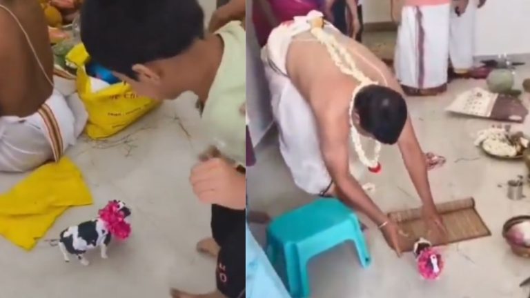 Ceremony: ఆవు బొమ్మతో గృహ ప్రవేశం.. మారుతున్న సాంప్రదాయాలు