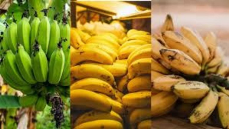 Benefits of Bananas: అరటి పండ్లలో ఉండే పోషక విలువల గురించి మీకు తెలుసా..