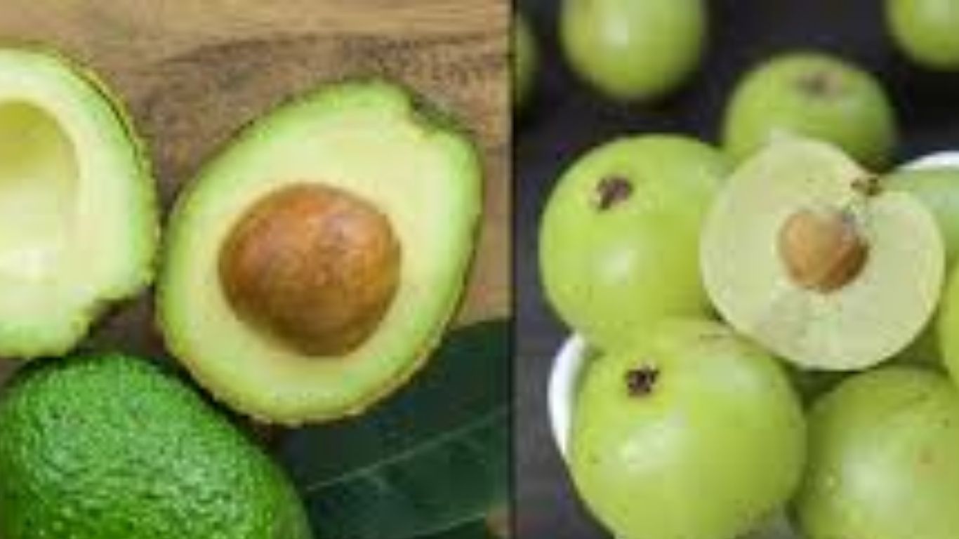 Avocado vs Amla: అవకాడో వర్సెస్ ఉసిరి.. ఈ రెండింటిలో దేనితో ఎక్కువ లాభాలున్నాయంటే..
