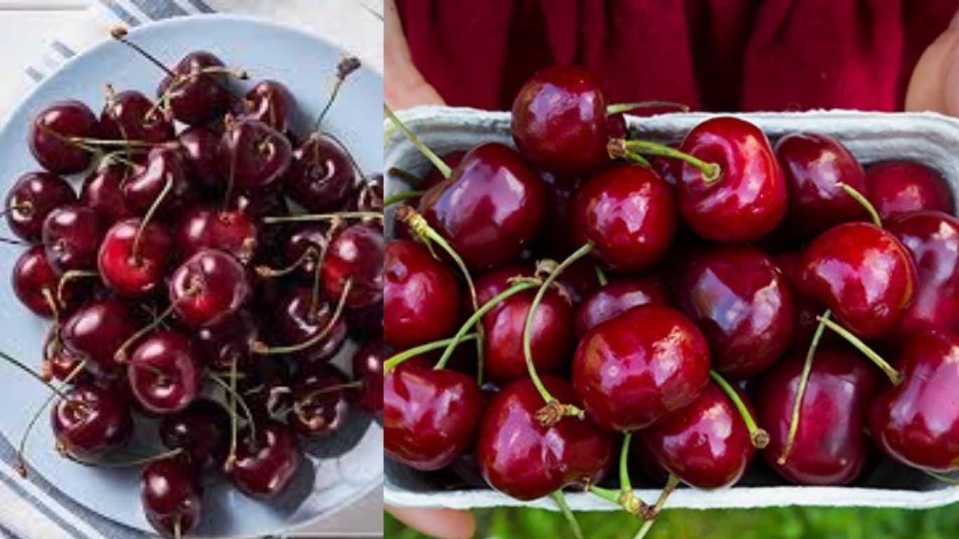 Cherry Fruits:  చెర్రీ పండ్లు మీ ఆహారంలో చేర్చుకుంటే ఎన్ని లాభాలో తెలుసా..