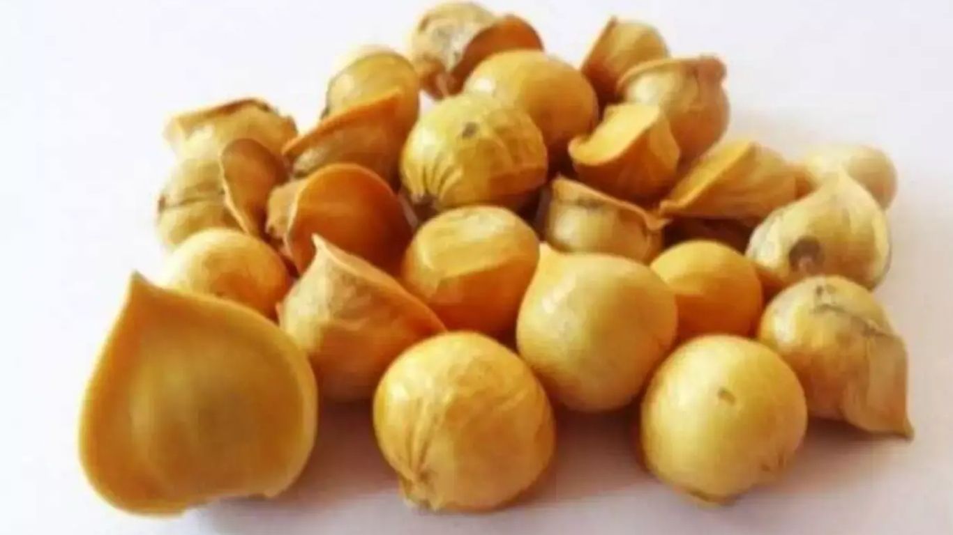 Kashmiri garlic benefits: చెడు కొలెస్ట్రాల్ కు చెక్ పెడుతున్న  కాశ్మీరీ వెల్లుల్లి