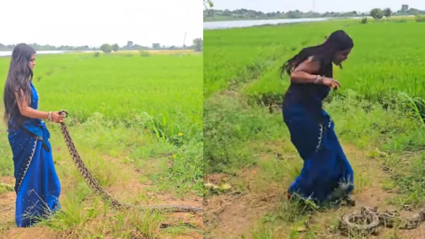 Brave Woman:  ప్రాణాలను పణంగా పెట్టి కొండచిలువను పట్టుకున్న మహిళ