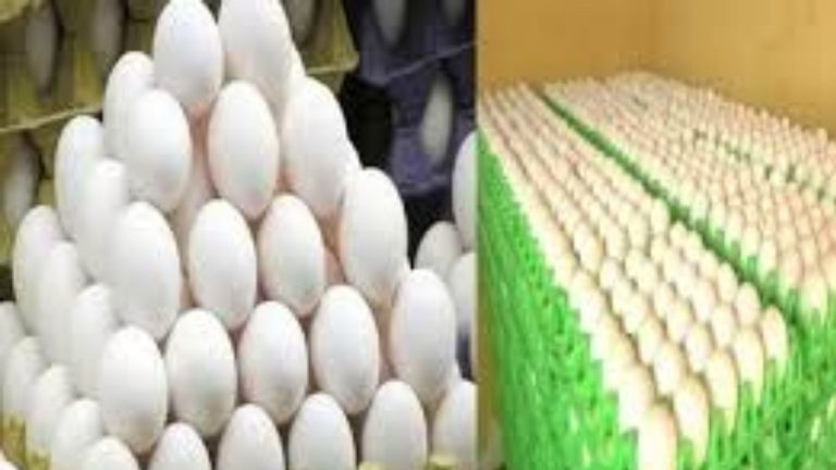 Egg, Vegetable Prices: భారీగా పెరిగిన గుడ్ల ధరలు.. డజను కోడి గుడ్లు ఎంతంటే..