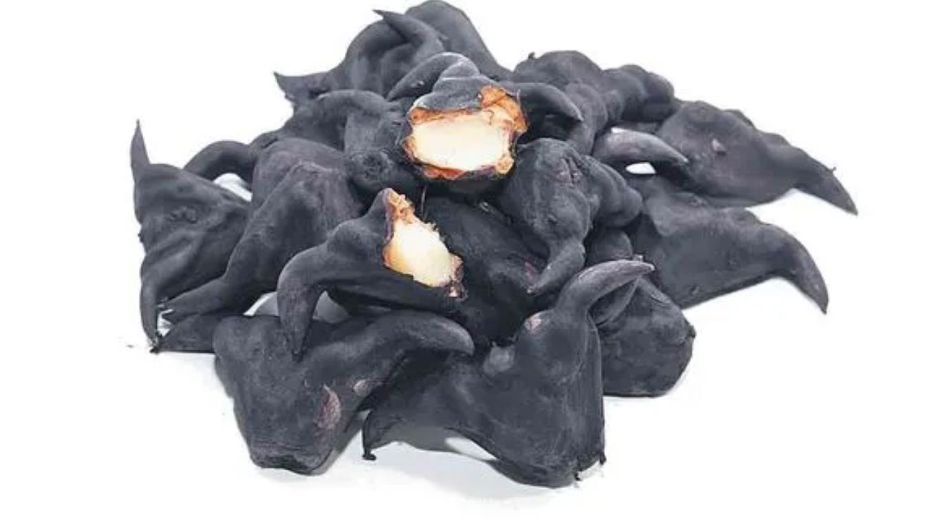 Water Chestnuts Benefits: సింగాడా దుంపలకు మార్కెట్లో భారీ డిమాండ్… కారణం ఇదే!