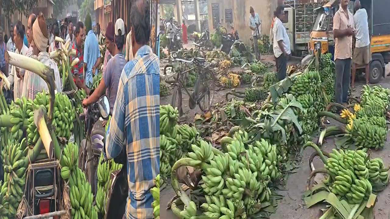 Banana Farmers: అరటి రైతులకు కలిసి రాని కార్తీకమాసం..