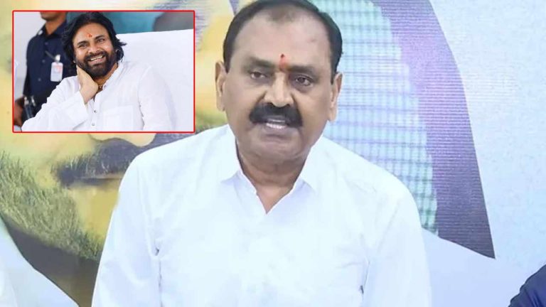Ex-MLA Bhumana: పులికాట్ సరస్సులో ఫ్లెమింగోలకు శాశ్వత నివాసం- పవన్ సూచనకు అభినందనీయం