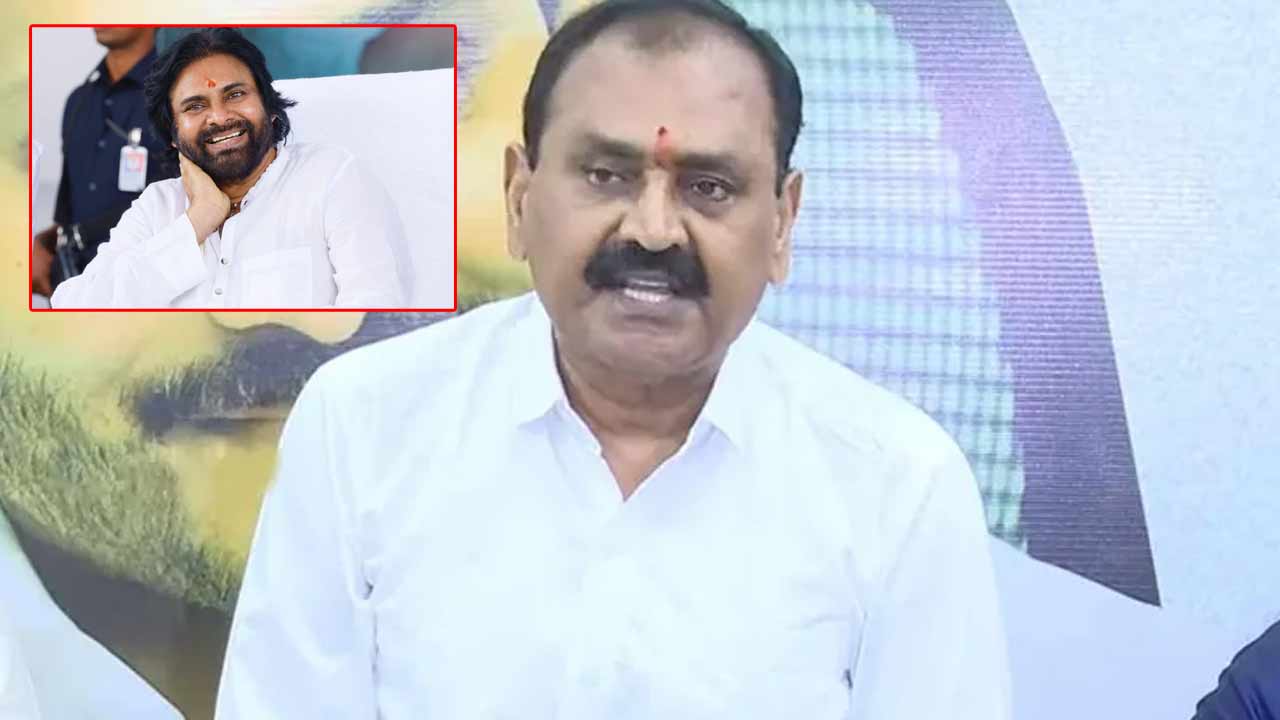 Ex-MLA Bhumana: పులికాట్ సరస్సులో ఫ్లెమింగోలకు శాశ్వత నివాసం- పవన్ సూచనకు అభినందనీయం
