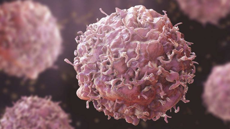 Cancer Awareness: క్యాన్సర్ రాకుండా ఉండాలంటే ఏం చేయాలో తెలుసా?