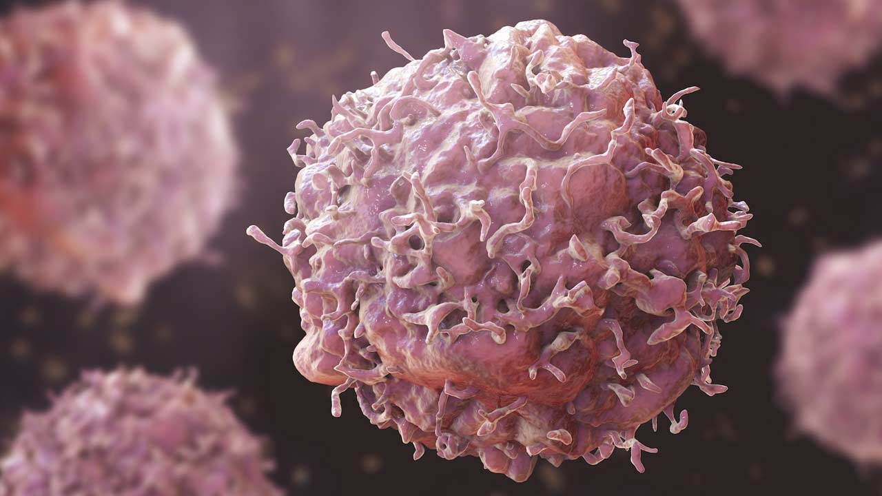 Cancer Awareness: క్యాన్సర్ రాకుండా ఉండాలంటే ఏం చేయాలో తెలుసా?