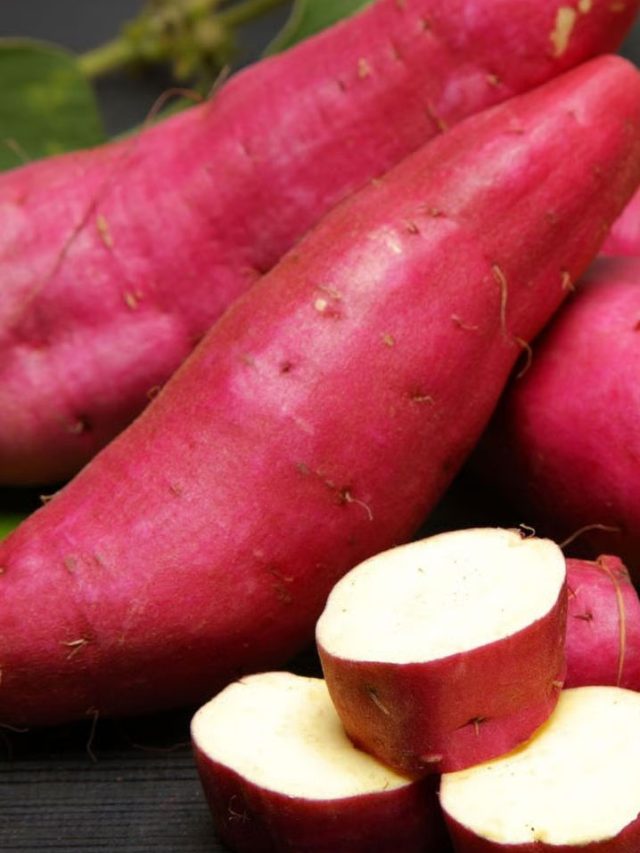 పోలకాల ఖజానా చిలకడ దుంప – సూపర్‌ఫుడ్ సూపర్ పవర్స్ !