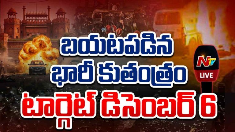 Delhi Car Blast: 32 కార్లతో “బాబ్రీ మసీదు” కూల్చివేతకు ప్రతీకార కుట్ర..