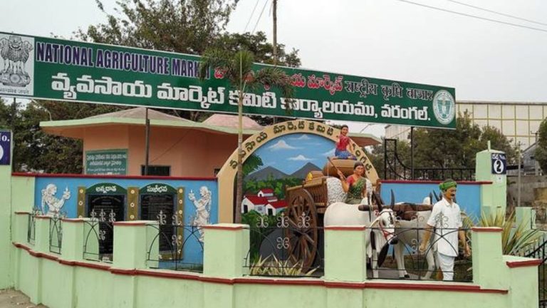 Enumamula Market: బోసిపోయిన ఎనుమాముల వ్యవసాయ మార్కెట్.. అష్టకష్టాలు పడుతున్న అన్నదాతలు!
