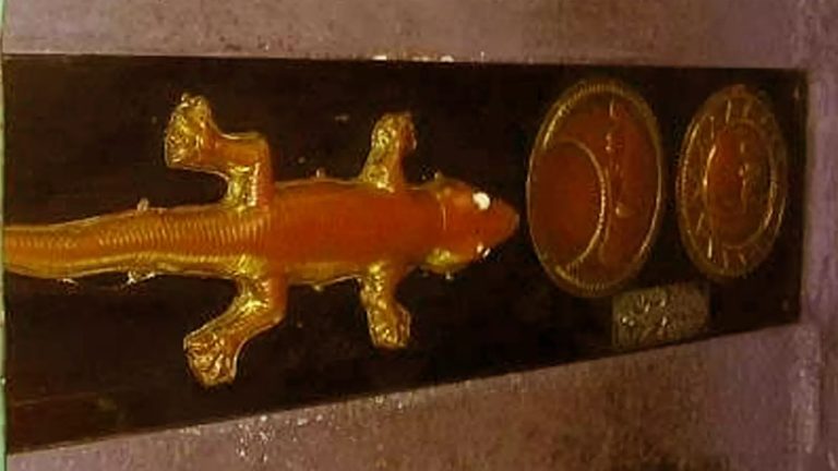 Tamil Nadu: ఏంటి అవి అసలైనవి కాదా..! బంగారం, వెండి బల్లుల విగ్రహాల పనుల్లో గోల్‌మాల్‌..