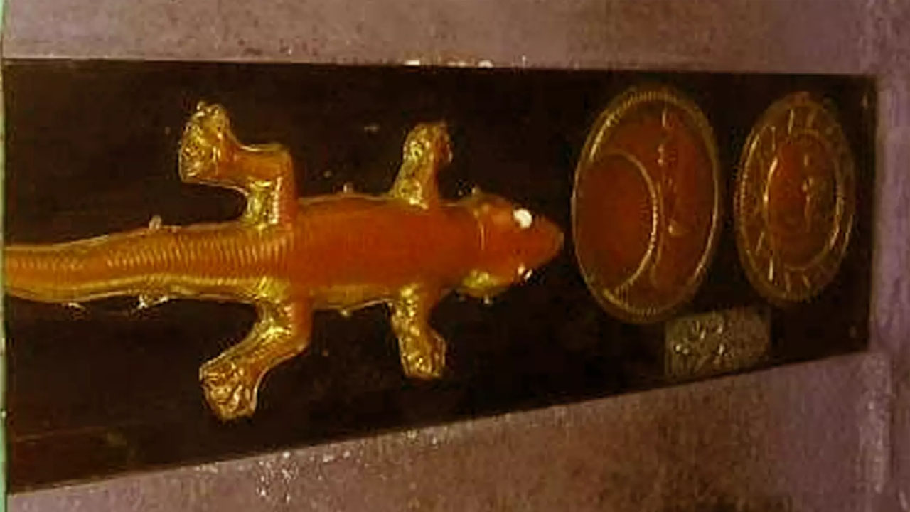 Tamil Nadu: ఏంటి అవి అసలైనవి కాదా..! బంగారం, వెండి బల్లుల విగ్రహాల పనుల్లో గోల్‌మాల్‌..