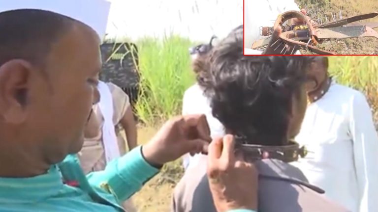 Pune Leopard Terror: మేకులు ఉన్న బెల్టులు మెడలో ధరించి పొలం పనులకు రైతులు.. కారణం తెలిస్తే షాకవ్వాల్సిందే