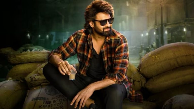 the Raja Saab : రీషూట్ల రూమర్స్‌కి చెక్..‘రాజాసాబ్’పై మేకర్స్ గ్యారెంటీ