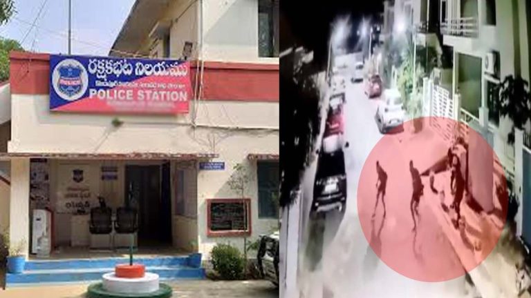 Lady Gang: విజయవాడలో రెచ్చిపోయిన లేడీ గ్యాంగ్