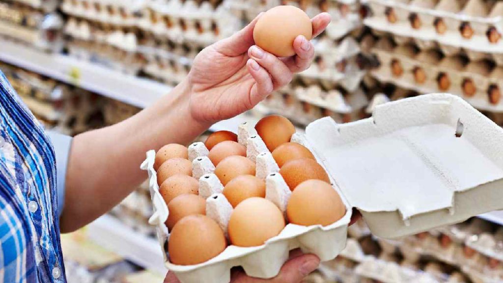 Eggs Prices