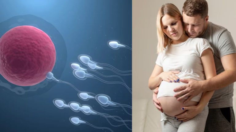 Healthy Pregnancy; బిడ్డ కోసం ప్లాన్ చేసే పురుషులు ఇది తప్పకుండా చదవాలి – డాక్టర్ వార్నింగ్!