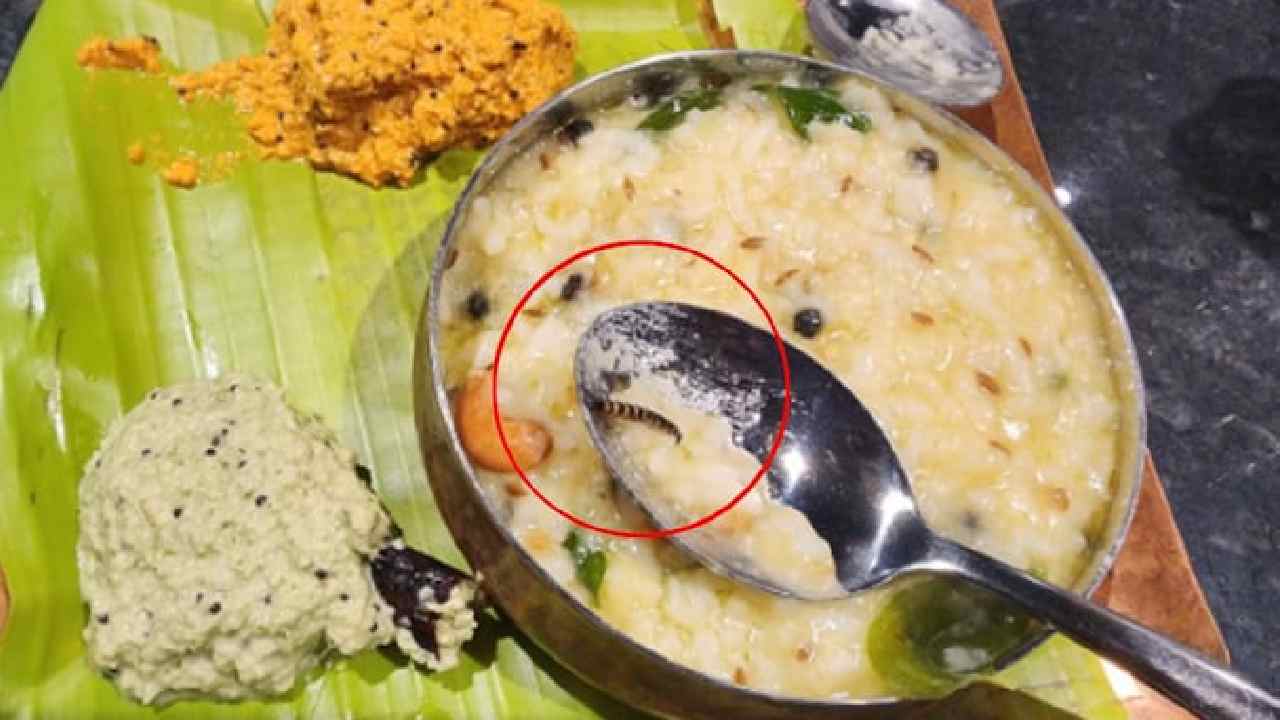 Rameshwaram Cafe: ఎంతకు తెగించార్రా.. రామేశ్వరం కేఫ్‌పై కేసు..