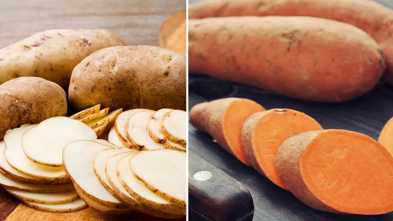 Potato vs Sweet Potato : పోటాటో స్వీట్ పోటాటో.. రెండింటిలో బరువు తగ్గేందుకు ఏది మంచిదో తెలుసా..