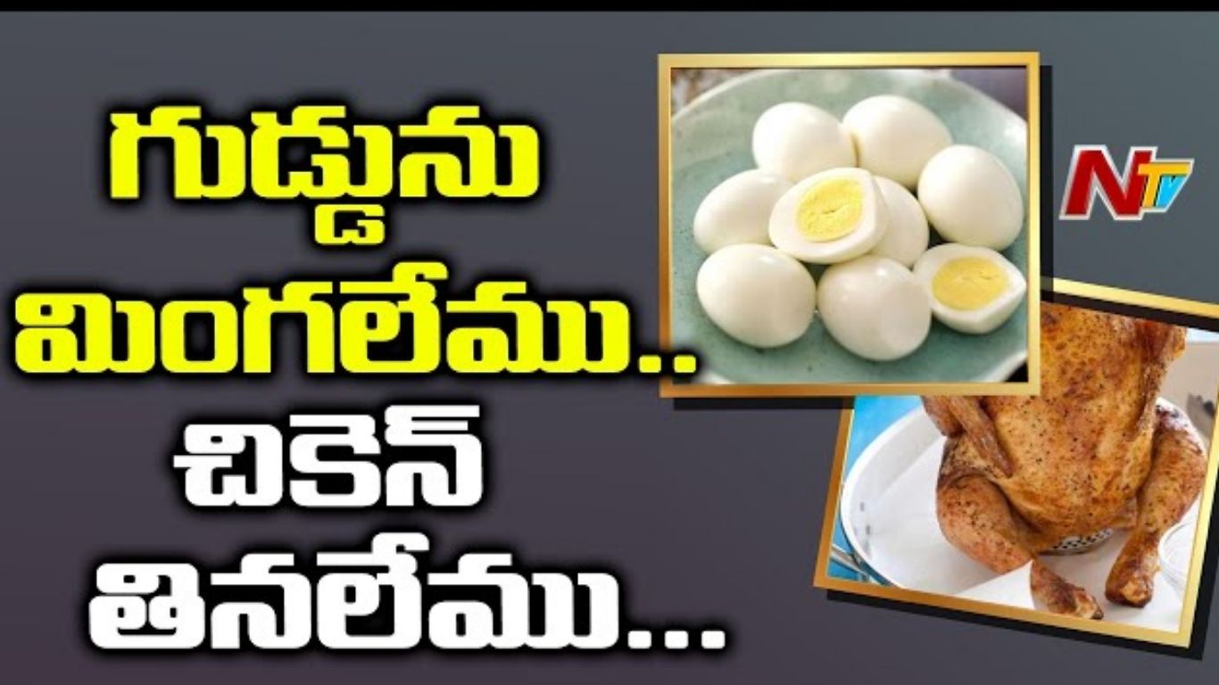 Chicken,  Egg Prices: చికెన్ ప్రియులకు బ్యాడ్ న్యూస్.. భారీగా పెరిగిన చికెన్, కోడిగుడ్ల ధరలు..