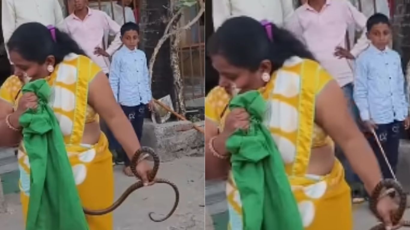 Woman Bitten by Snake: పామును పట్టేందుకు ప్రయత్నించిన మహిళ.. తర్వాత ఏమైందంటే..