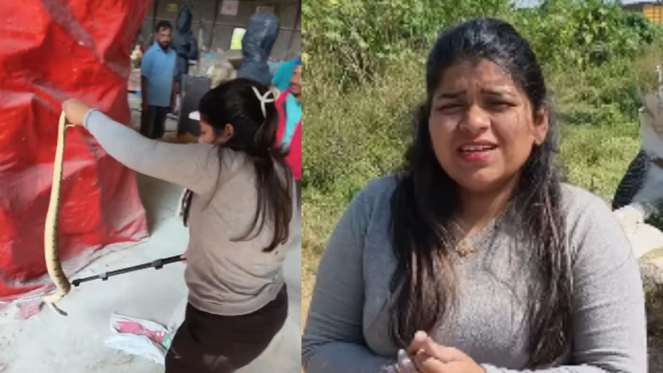 Viral Video: నీ ధైర్యం ఏంటక్క.. ఒకేసారి మూడు పాములను పట్టేసిన స్నేక్ క్యాచర్