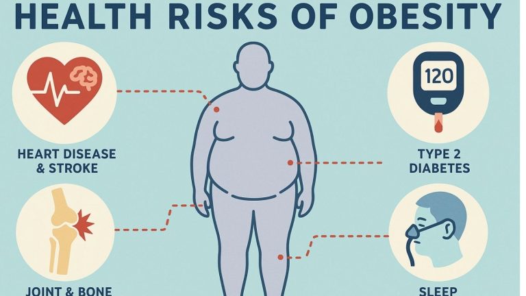 Obesity Health Risks: ఊబకాయంతో ఎలాంటి సమస్యలు వస్తాయో తెలుసా..?..?
