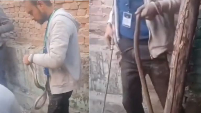 Snakes In House Wall: గోడలో దాక్కున్న పాములు.. భయపడిపోయిన స్థానికులు