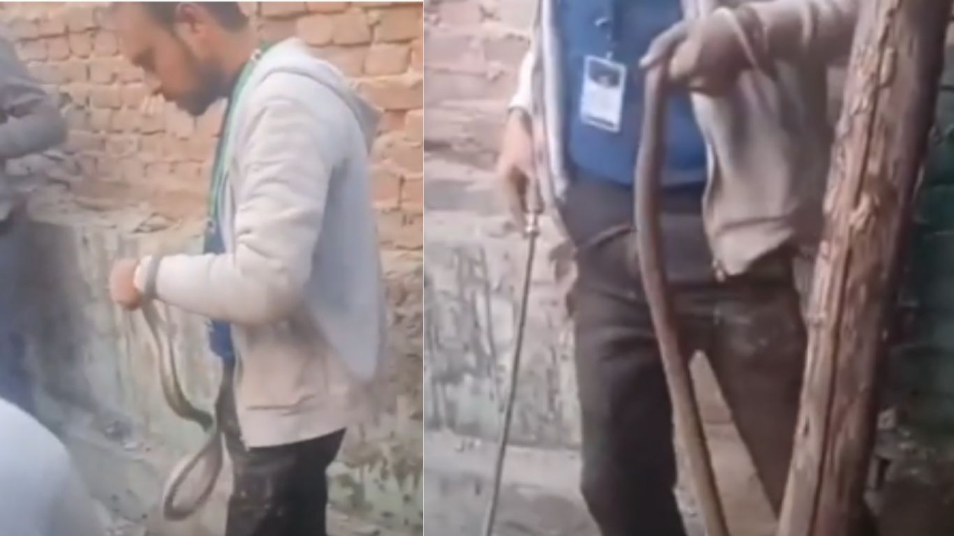 Snakes In House Wall: గోడలో దాక్కున్న పాములు.. భయపడిపోయిన స్థానికులు