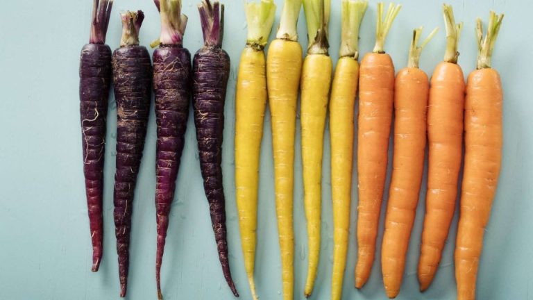 Health Benefits of Carrots: క్యారెట్ తినడం వల్ల ఎన్ని రకాల హెల్త్ బెనిఫిట్స్ ఉన్నాయంటే..