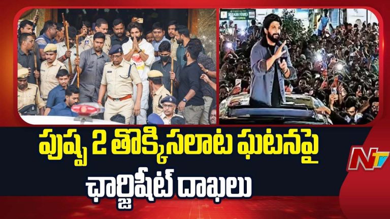 Pushpa 2 Stampede: సంధ్య థియేటర్‌ తొక్కిసలాట కేసు.. ఛార్జిషీట్‌ దాఖలు, ఏ-11గా అల్లు అర్జున్!