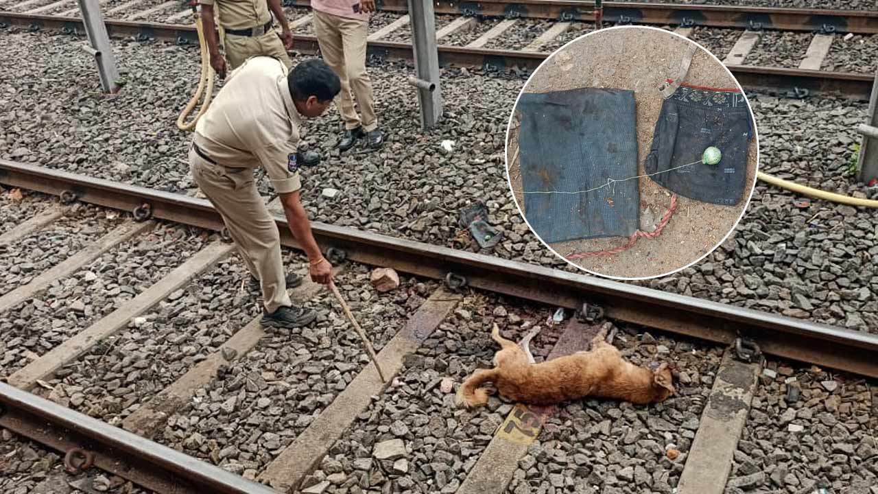 Bomb Blast : జర్రుంటే రైలు పేలుతుండే..! బాంబు కొరికిన కుక్క.. బ్లాస్ట్‌..!