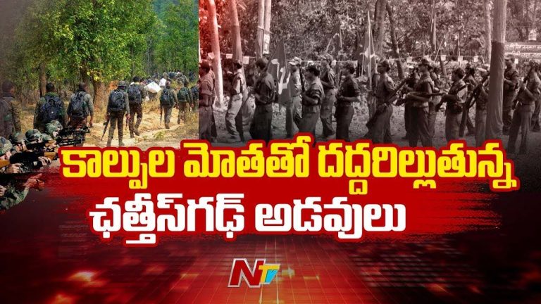 Bijapur Encounter: కాల్పుల మోతతో దద్దరిల్లుతున్న అడవులు.. 12 మంది మావోయిస్టులు మృతి
