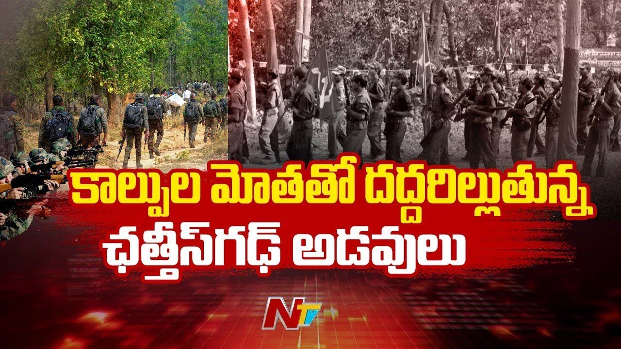 Bijapur Encounter: కాల్పుల మోతతో దద్దరిల్లుతున్న అడవులు.. 12 మంది మావోయిస్టులు మృతి