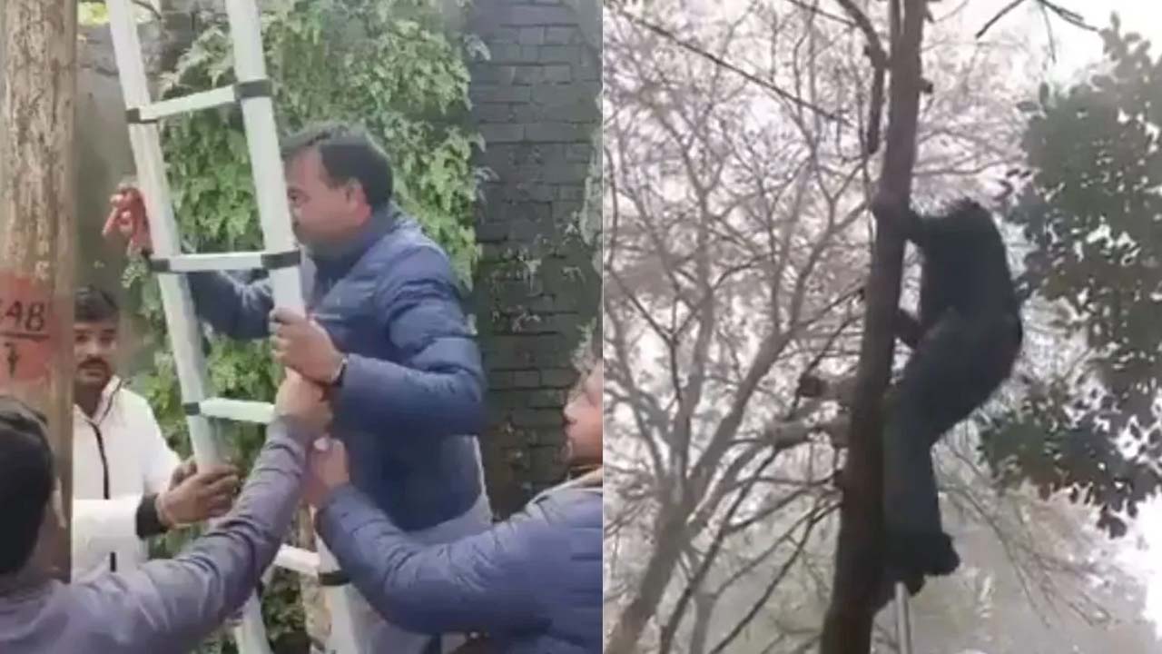 congress mla virendra jati cut off electricity supply to homes of officials