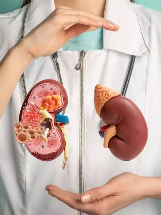 కిడ్నీలను ఆరోగ్యంగా ఉంచే టాప్ 10 అద్భుత ఆహారాలు – మీ డైట్‌లో తప్పక చేర్చండి!