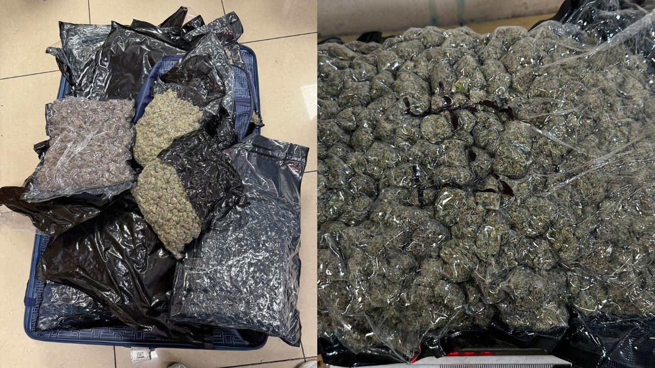 mumbai airport drug bust customs seize 40 kg foreign ganja worth 40 crore