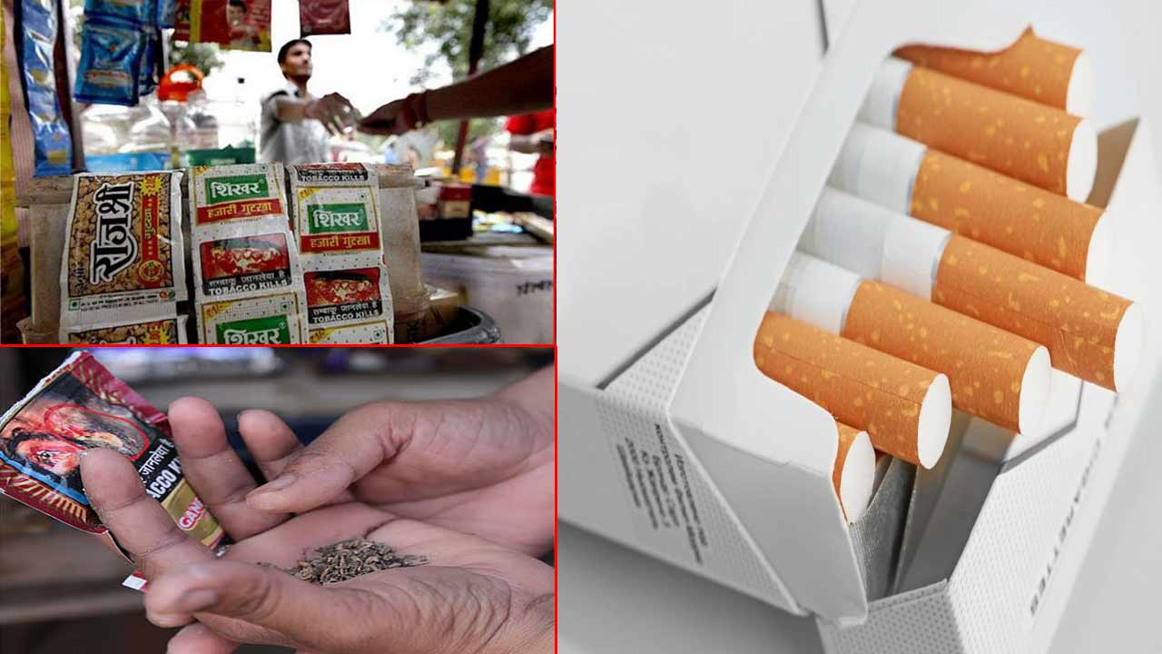 Central GovT Tax Hike: కేంద్ర సర్కార్ షాకింగ్ నిర్ణయం.. పొగాకు, పాన్ మసాలాలపై భారీగా పన్ను..