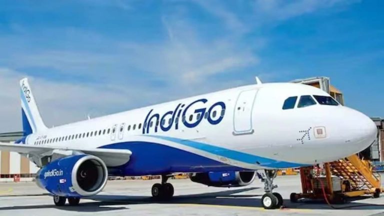 IndiGo CEO Apology: ఇండిగో విమానాల ఆలస్యం.. క్షమాపణలు చెప్పిన సీఈఓ