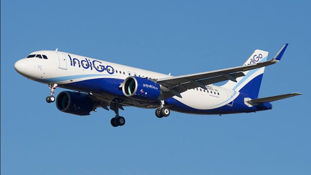 Indigo1