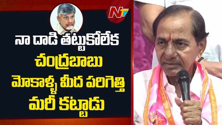 KCR : నా దాడి తట్టుకోలేక చంద్రబాబు మోకాళ్ళ మీద పరిగెత్తి మరీ కట్టిండు