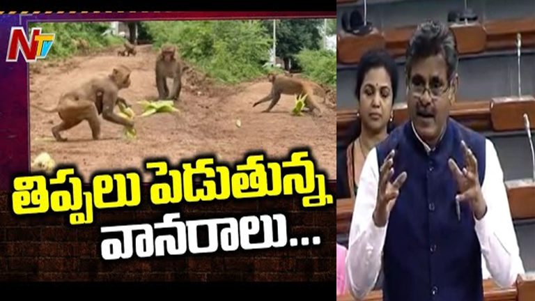 Konda Vishweshwar Reddy: లోక్‌సభలో కోతుల సమస్యలను ప్రస్తావించిన ఎంపీ కొండ విశ్వేశ్వర్‌రెడ్డి..