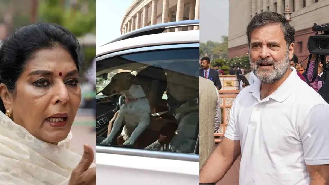 Rahul Gandhi: ‘‘కుక్క వివాదం’’.. రేణుకా చౌదరికి మద్దతుగా రాహుల్ అనుచిత వ్యాఖ్యలు..