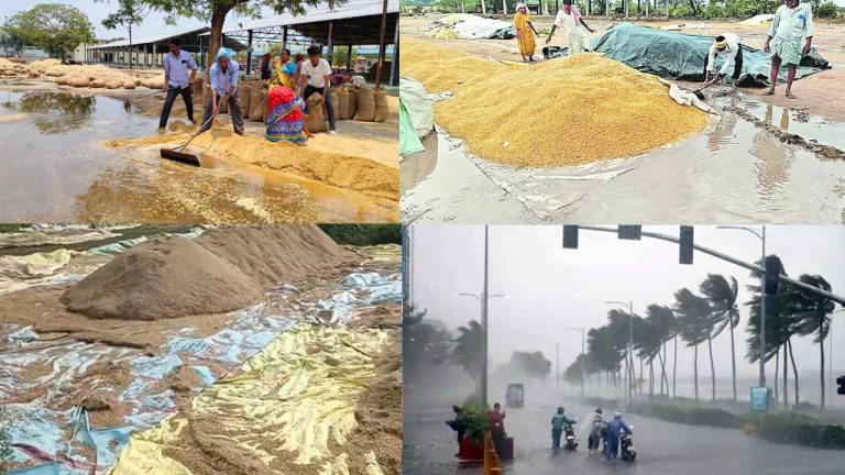 Farmers High Alert: గుట్టలు, గుట్టలుగా ధాన్యపు రాశులు.. ఆందోళనలో రైతులు!