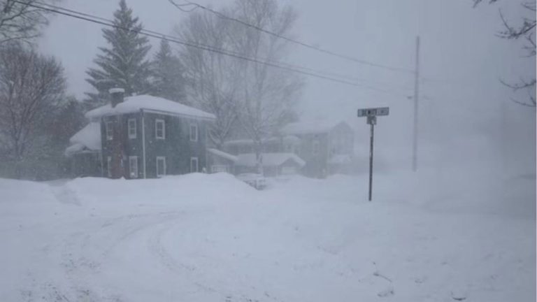 US: అమెరికాపై మంచు ఖడ్గం.. 7 వేల విమానాలు రద్దు