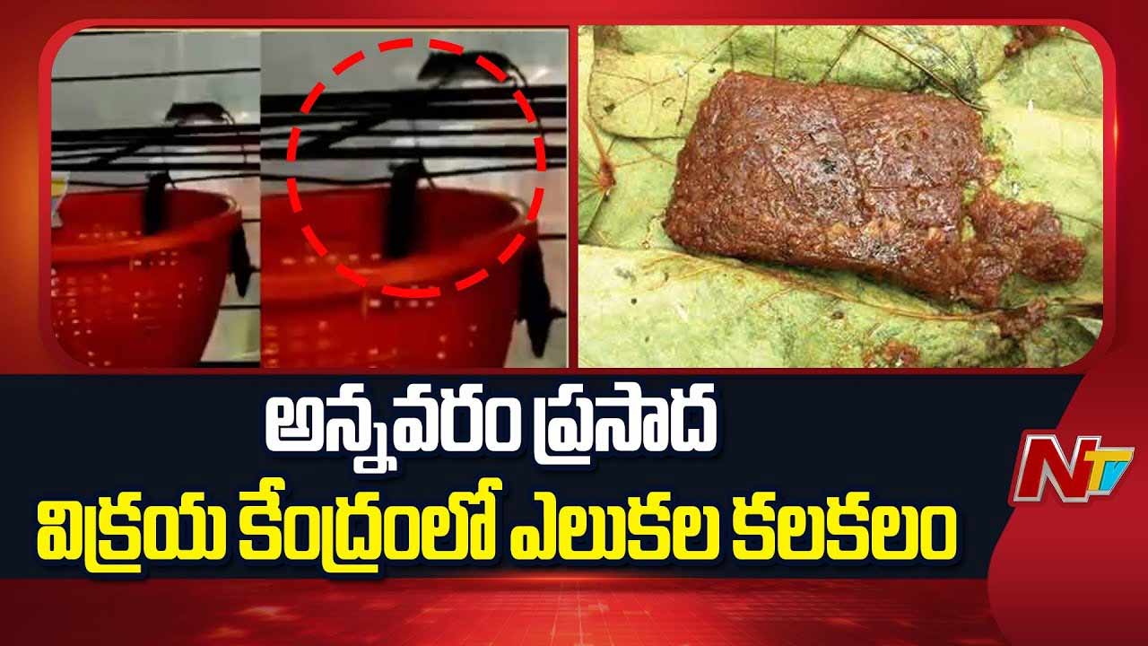 annavaram temple prasadam row eo removes staff after rats found at sales counter