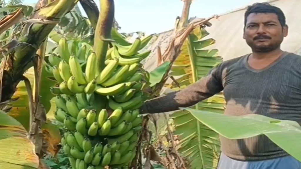 Bihar Farmer Success Story